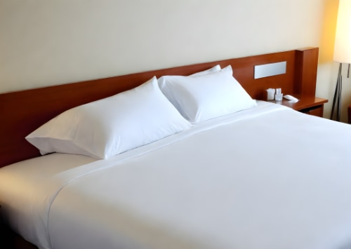 Les avantages de faire appel à une entreprise professionnelle de lutte anti-nuisibles pour votre hôtel