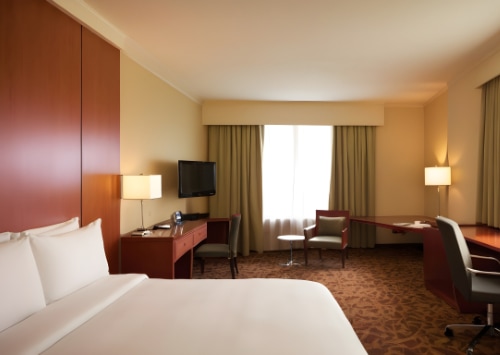 Les conséquences financières des infestations de nuisibles dans les hôtels et comment les prévenir