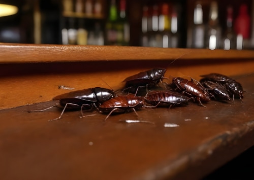 Les parasites des denrées alimentaires : comment protéger votre bar contre ces nuisibles