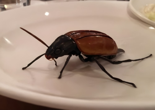 La gestion des nuisibles dans les restaurants partenaires des Jeux Olympiques de Paris 2024