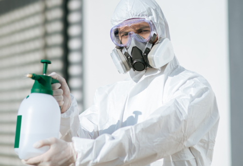 Quand faut-il faire appel à des professionnels de la lutte antiparasitaire pour traiter une infestation de rats ?